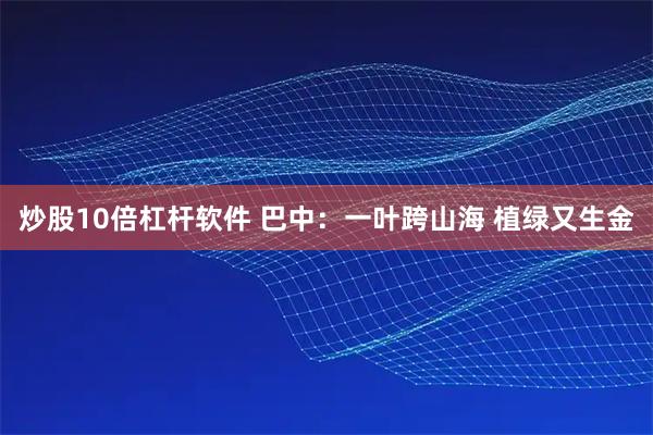 炒股10倍杠杆软件 巴中：一叶跨山海 植绿又生金
