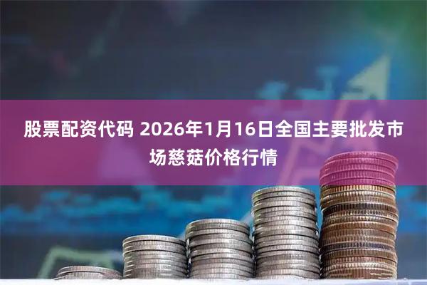 股票配资代码 2026年1月16日全国主要批发市场慈菇价格行情